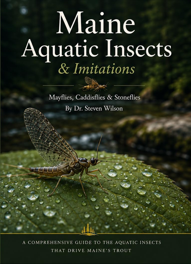 Maine Aquatic Insects & Imitations: Mayflies, Caddisflies & Stoneflies (English Edition)