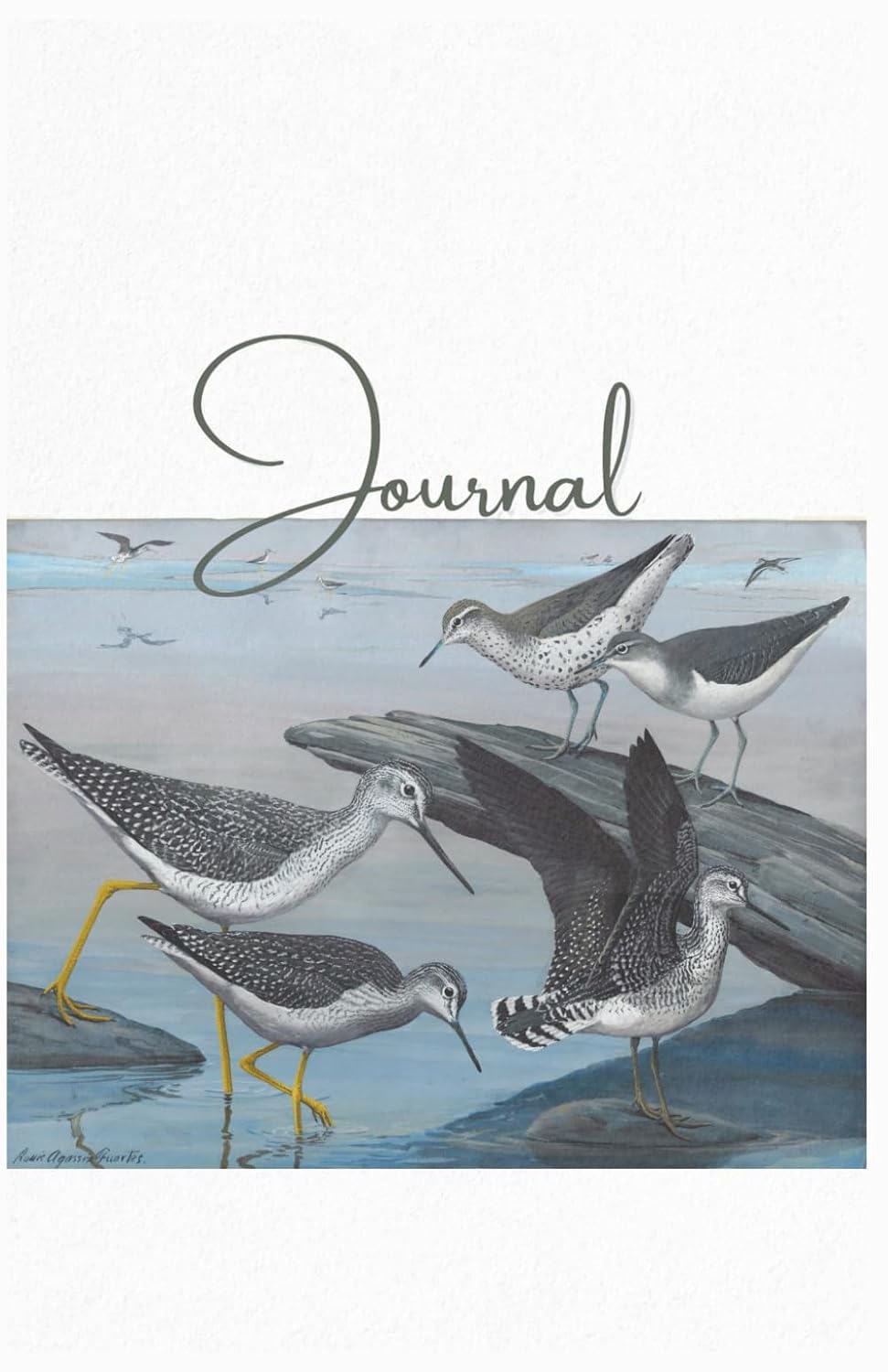ler totalmente Coastal Seabirds: 200 page dot grid journal for writing, note taking, sketching and scrapbooking
