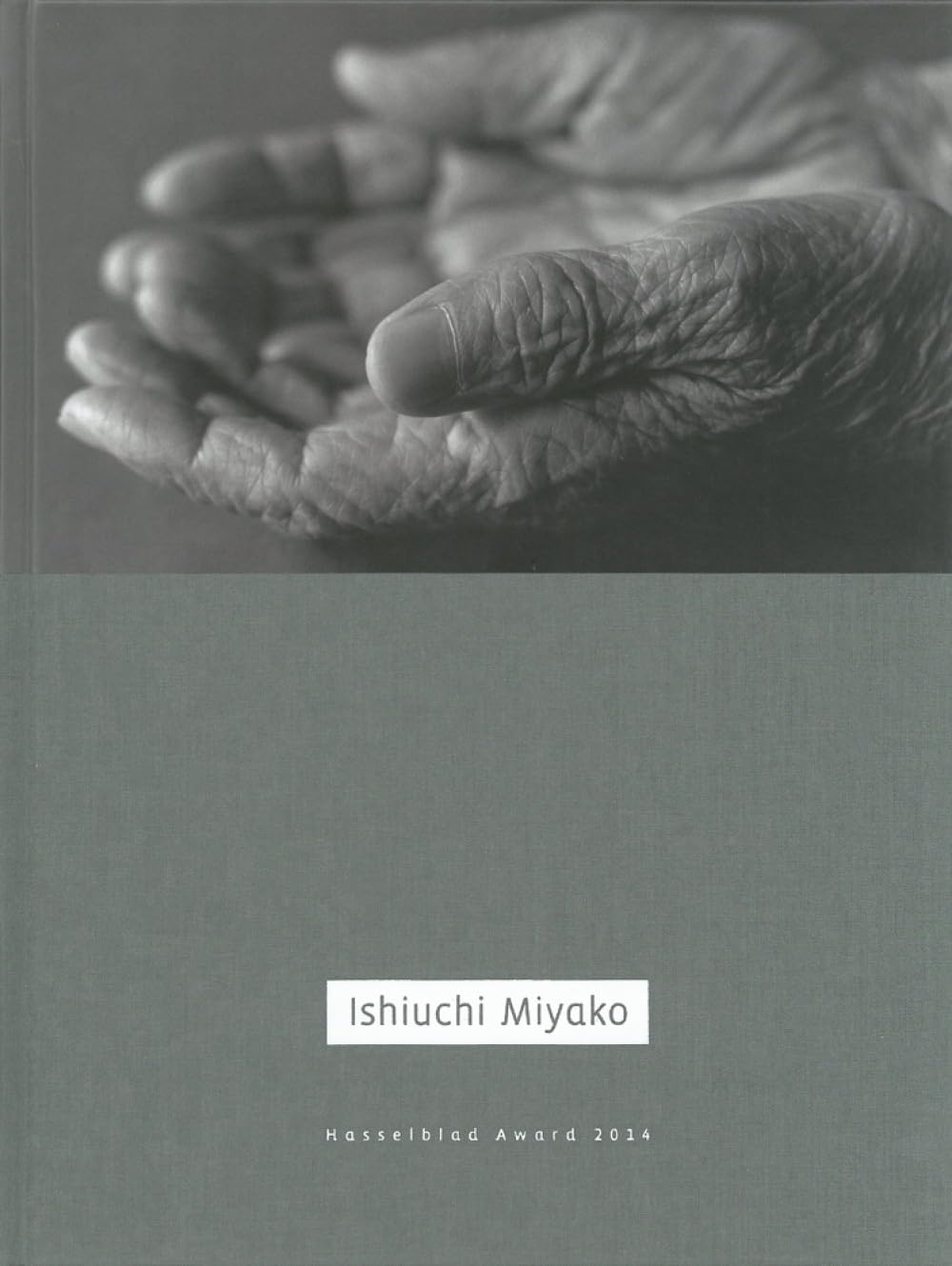 Ishiuchi Miyako baixar o livro de graça