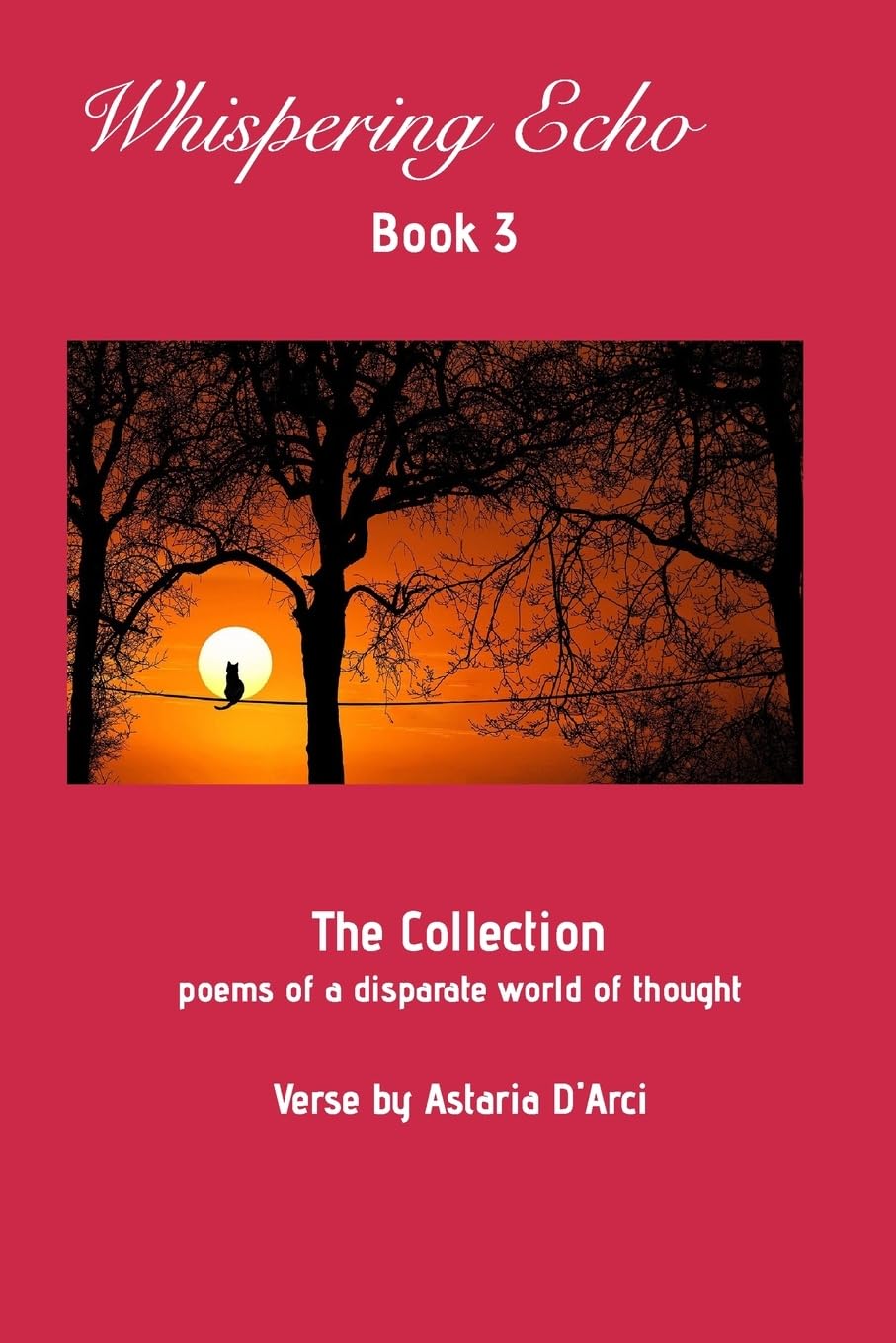 Whispering Echo Book 3: The Collection: Poems of a disparate world of thought baixar o livro de graça