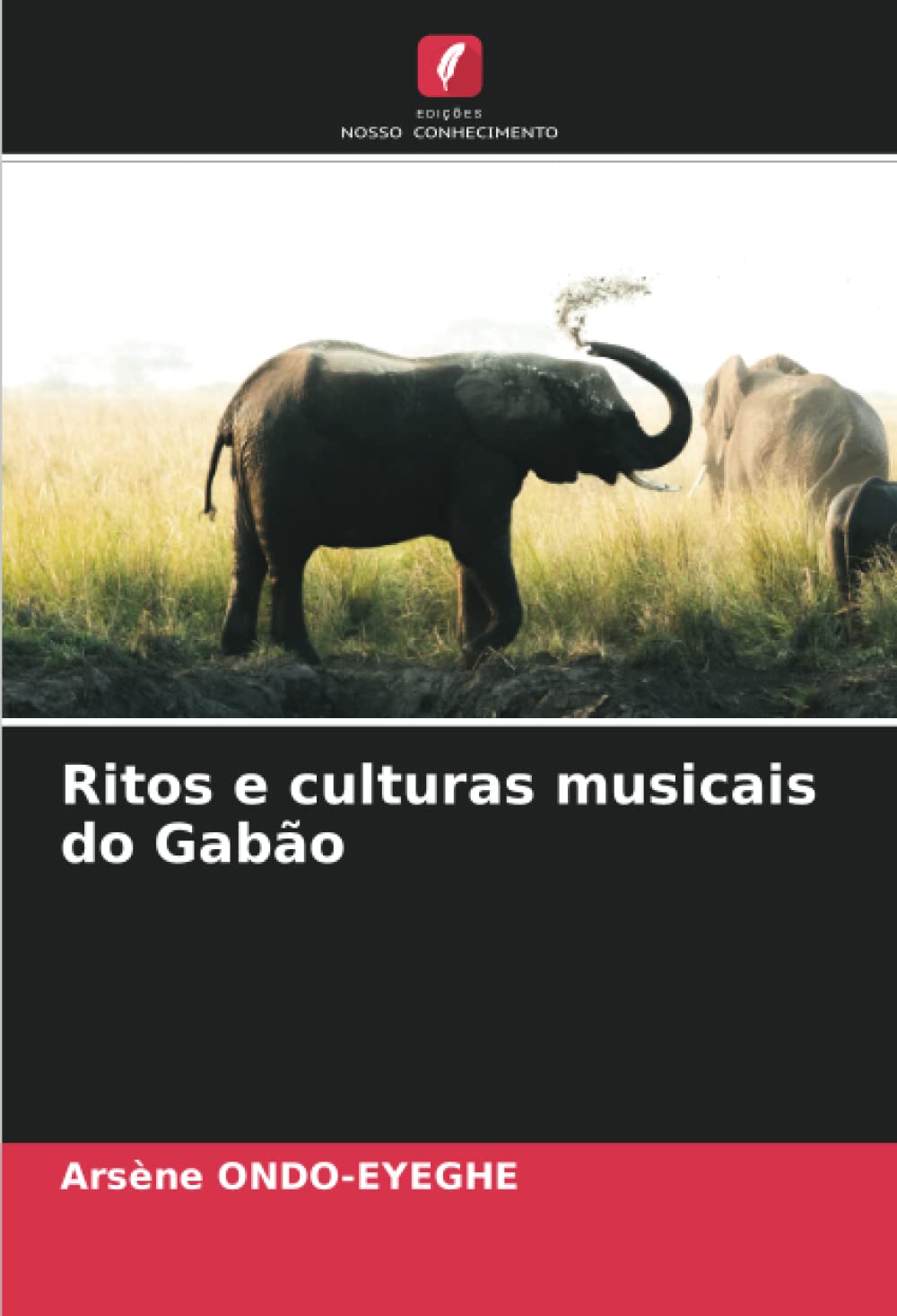 ler totalmente Ritos e culturas musicais do Gabão