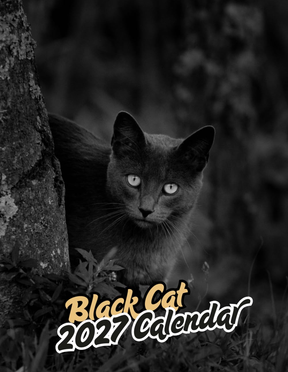 ler totalmente Black Cats 2027 Calenda r: Elegant & Mysterious Feline Photography | September 2026 – December 2027