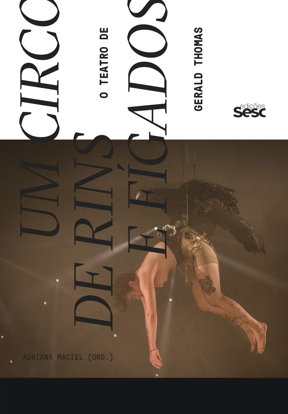 Um circo de rins e fígados: O teatro de Gerald Thomas baixar livro de graça