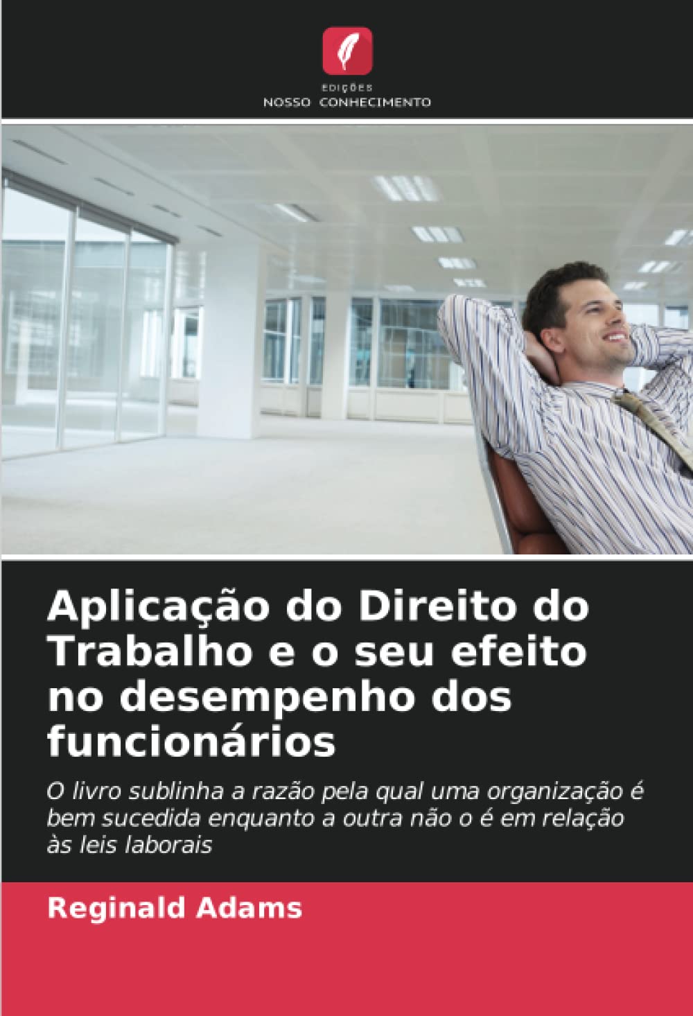 Aplicação do Direito do Trabalho e o seu efeito no desempenho dos funcionários: O livro sublinha a razão pela qual uma organização é bem sucedida enquanto a outra não o é em relação às leis laborais baixar o livro de graça