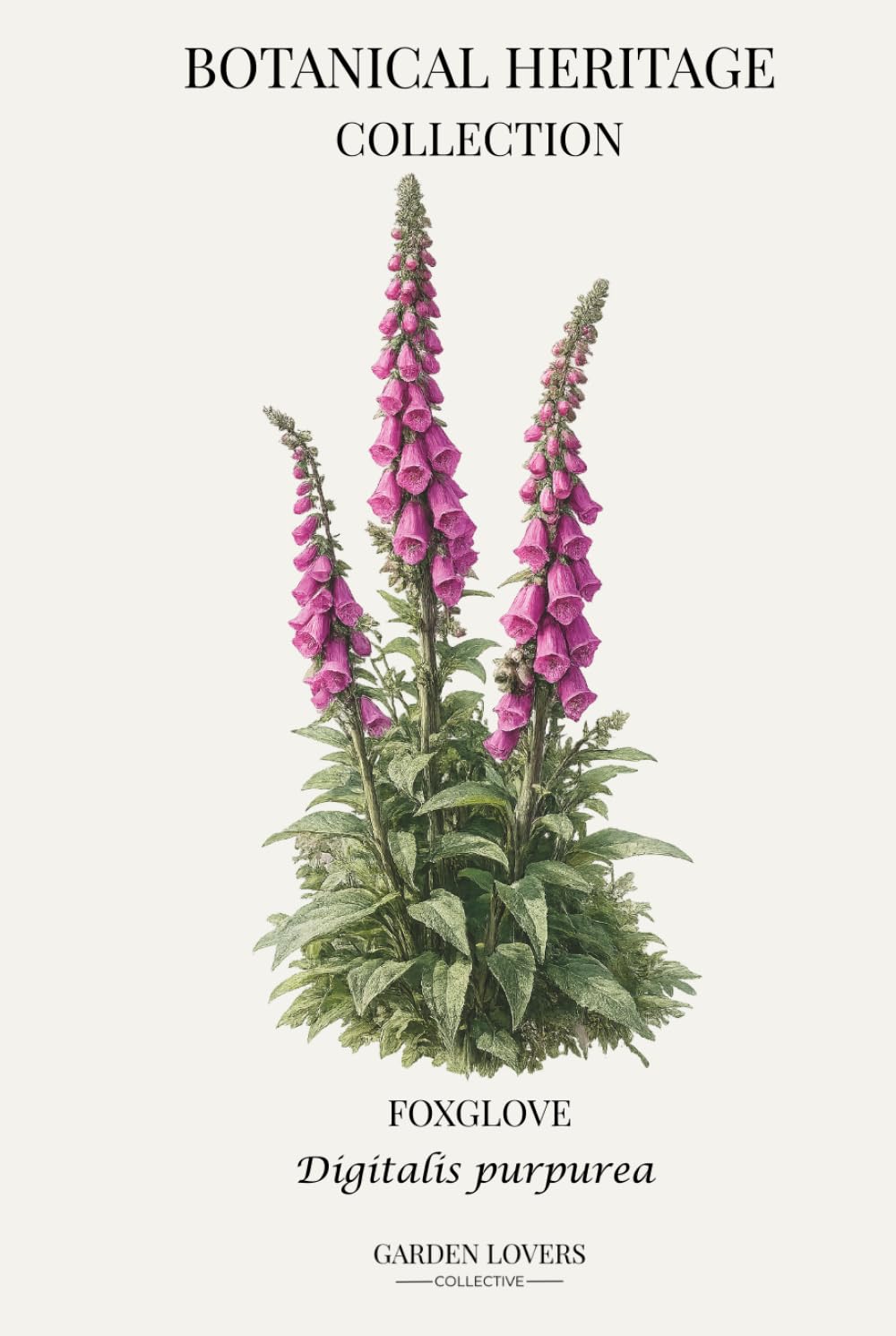 Foxglove: A Botanical Heritage Collection Notebook Featuring Digitalis purpurea baixar livro de graça