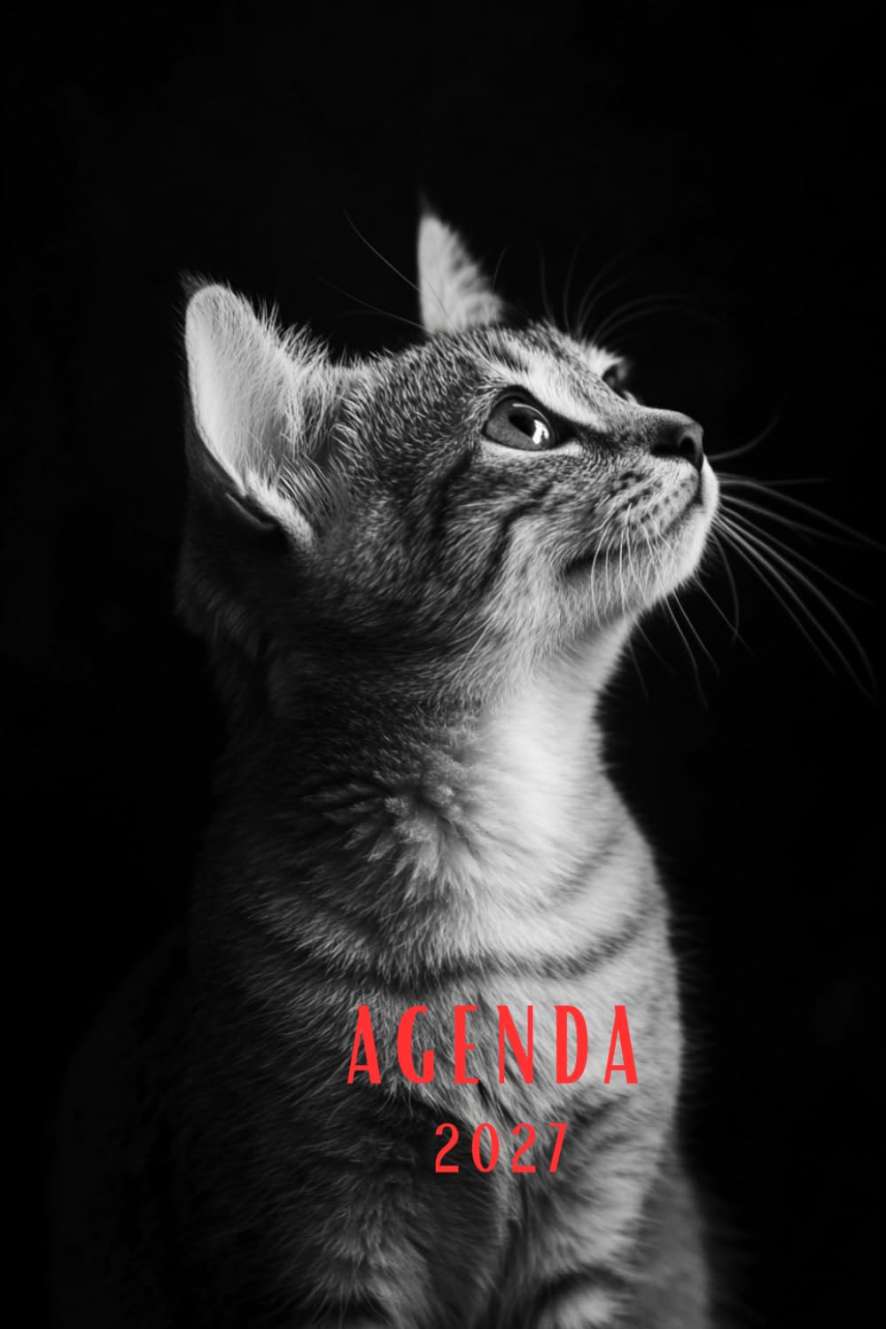 ler totalmente Agenda 2027: Petit format de poche, Semainier, Planificateur hebdomadaire, Format 10x15 cm, 116 pages sur papier crème 90g/m², Chat (French Edition)