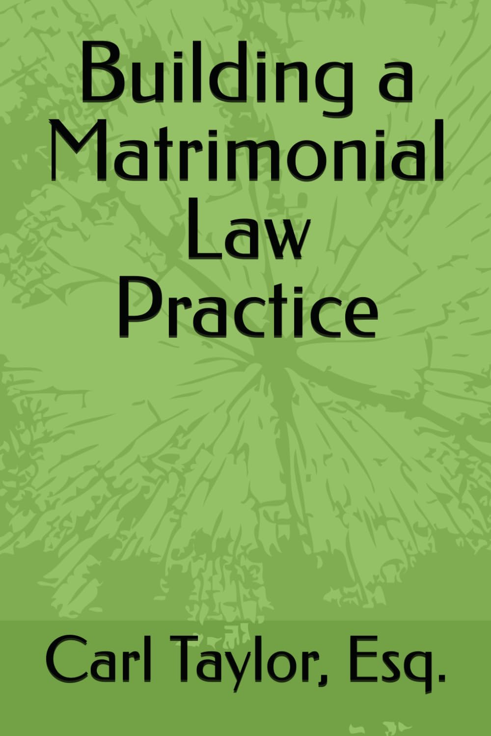 ler totalmente Building a Matrimonial Law Practice