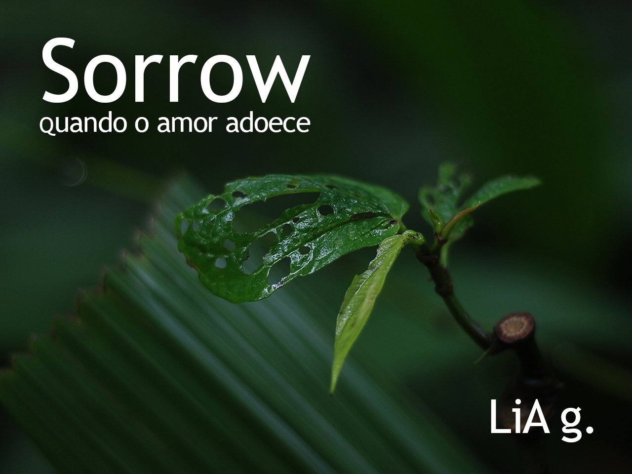 capítulo por capítulo baixar Sorrow: Quando o amor adoece