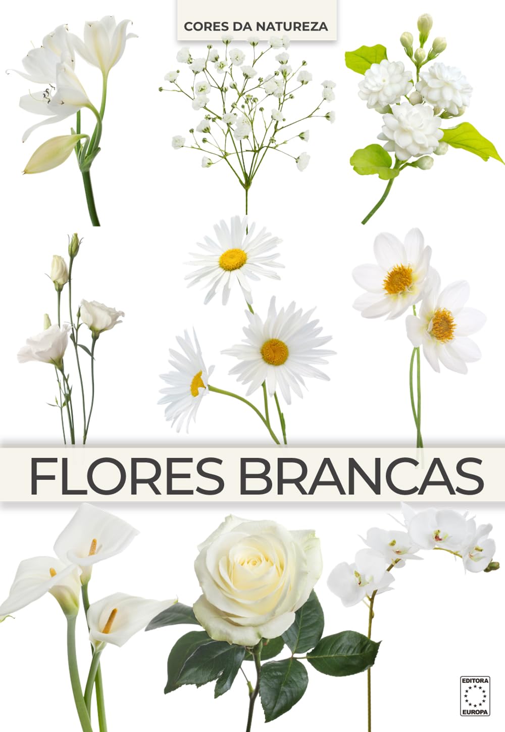 Coleção Cores da Natureza - Flores Brancas baixar o livro de graça