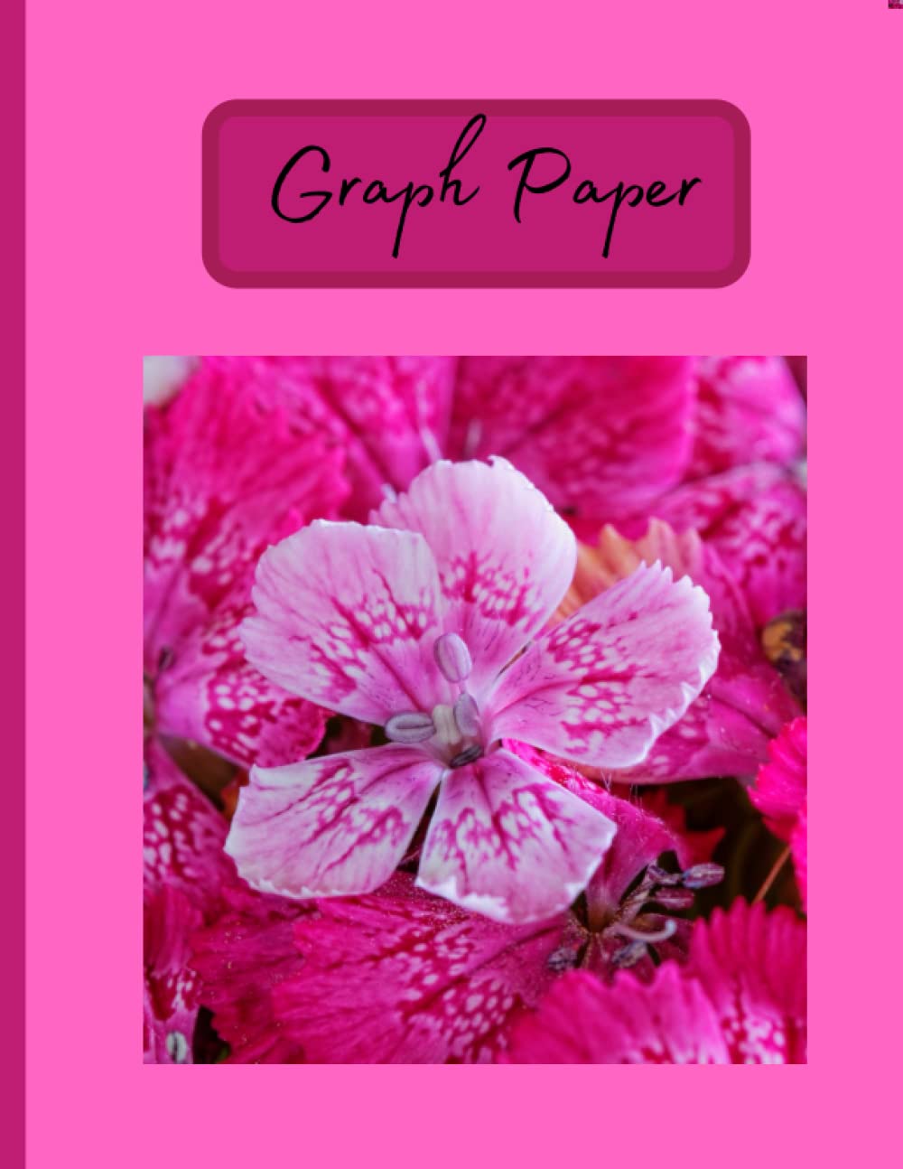Graph Paper