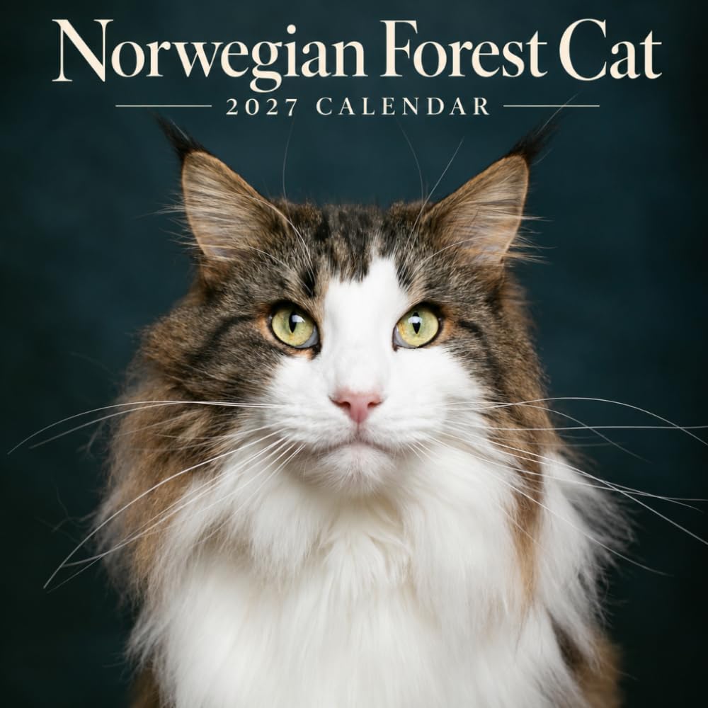Norwegian Forest Cat Calendar 2027: Nordic Cat Photography baixar livro de graça