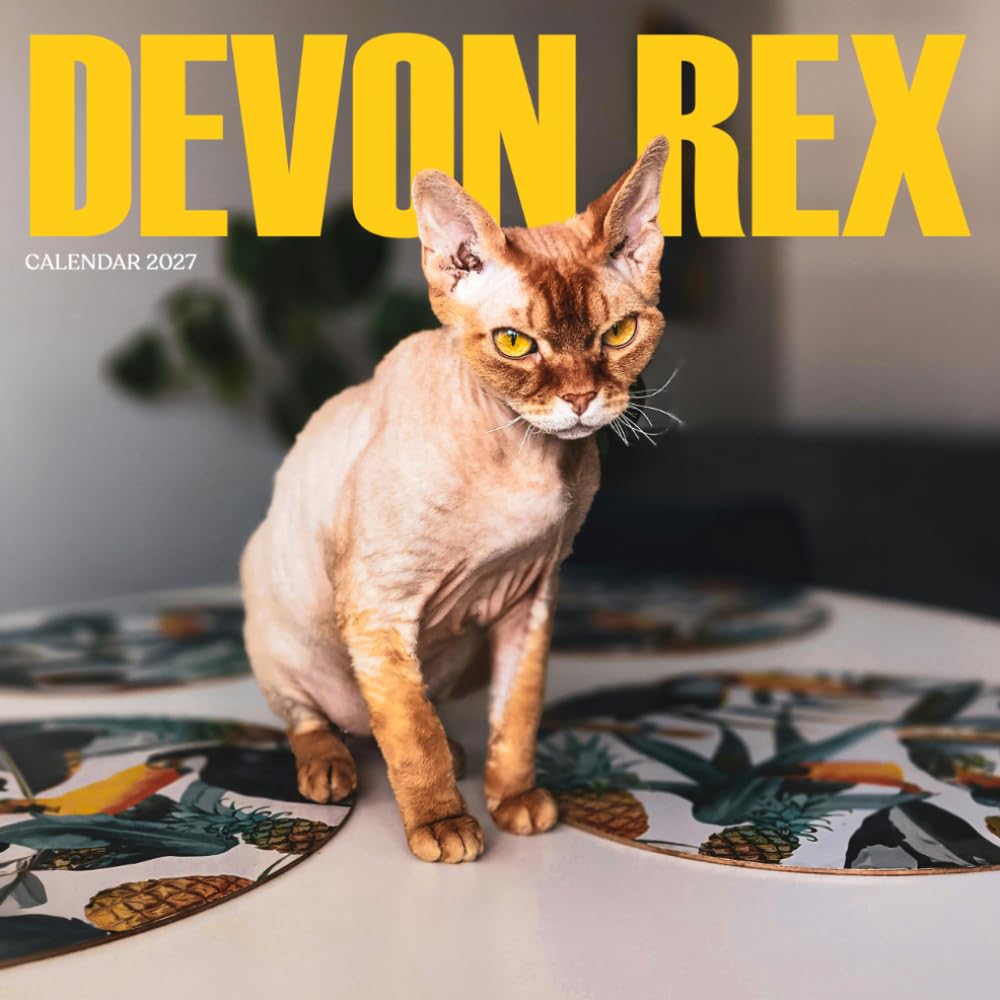 ler totalmente Devon Rex Cat Calendar 2027: Curly-Coated Cats and Breed Scenes