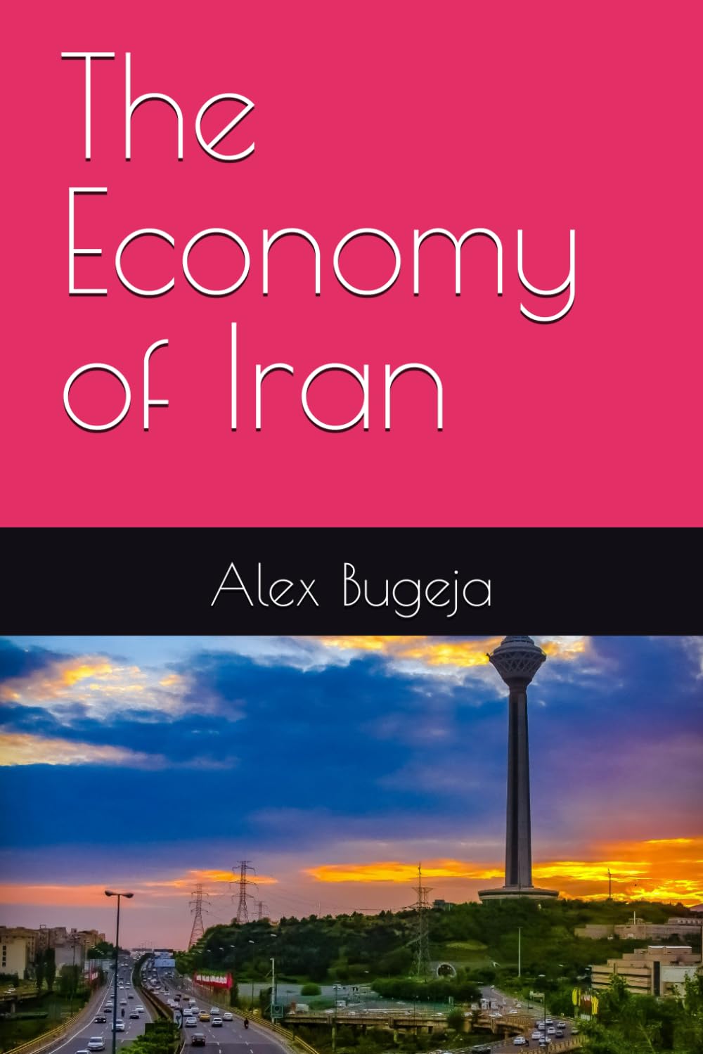 The Economy of Iran baixar o livro de graça