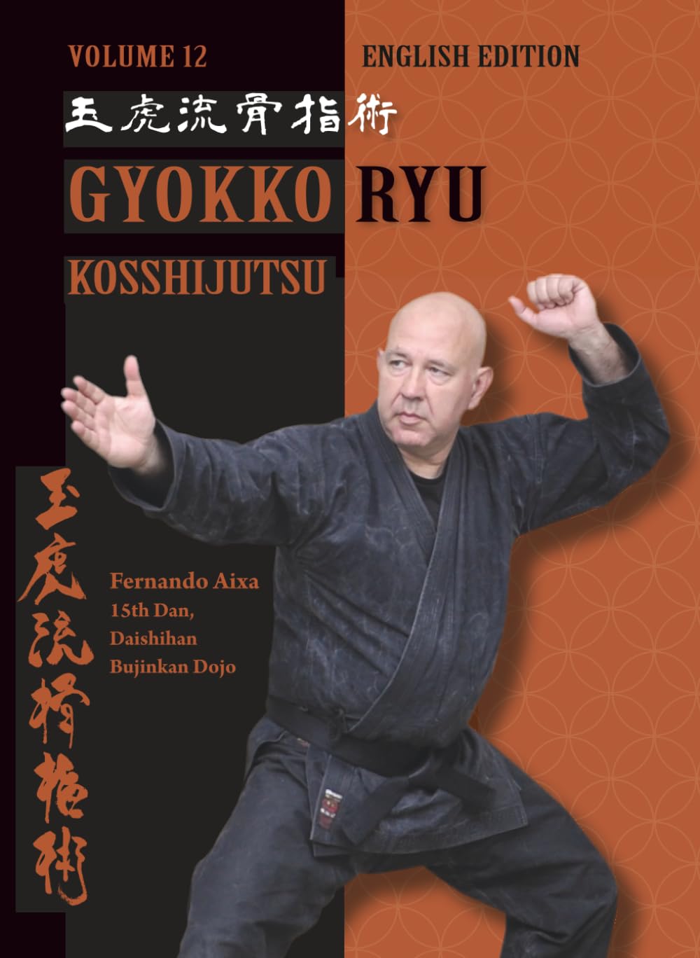 Gyokko Ryu Kosshijutsu: Complete Manual step by step of Basic Techniques and Kata baixar livro de graça