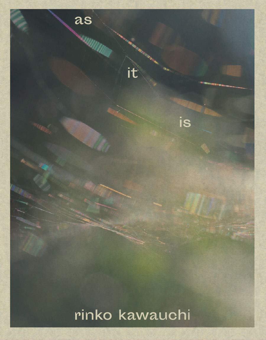 Rinko Kawauchi - as it is baixar o livro de graça