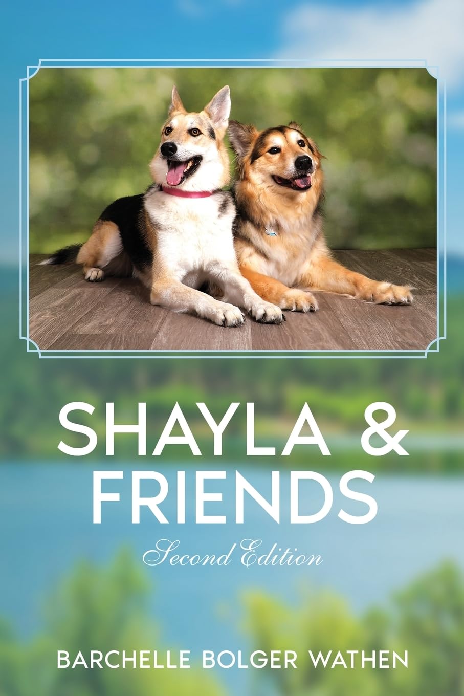 Shayla and Friends baixar o livro de graça