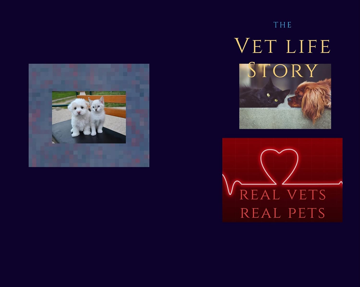 The Vet Life Story: Real Vets Real Pets (English Edition) baixar livro de graça
