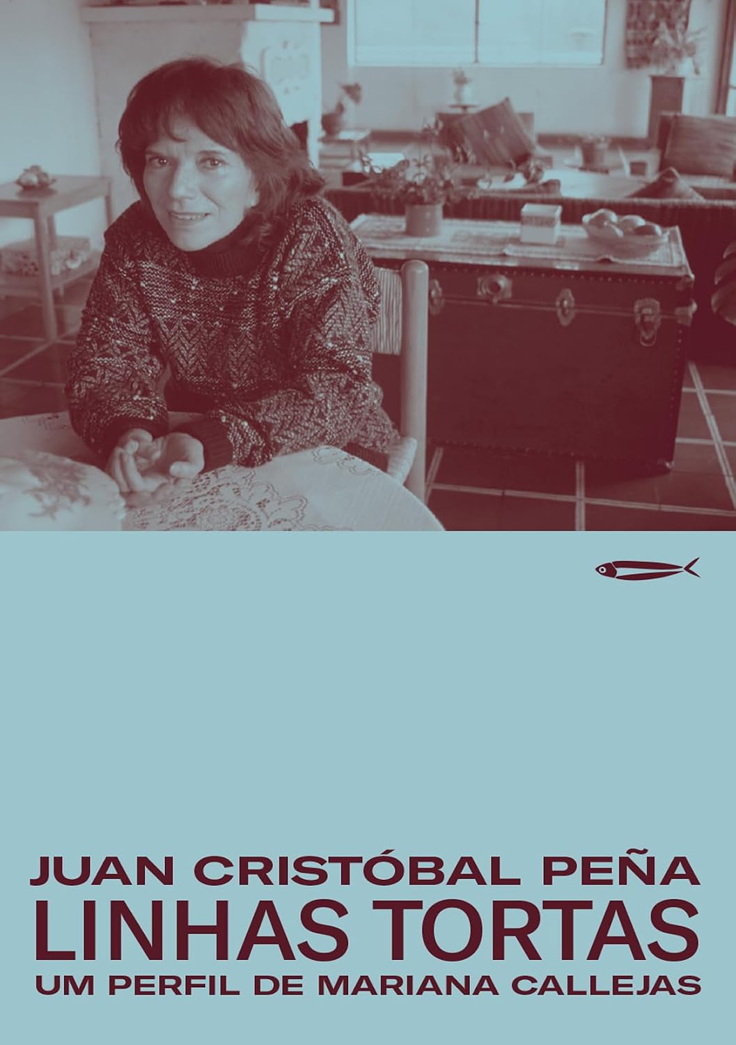 Linhas tortas: Um perfil de Mariana Callejas baixar o livro de graça