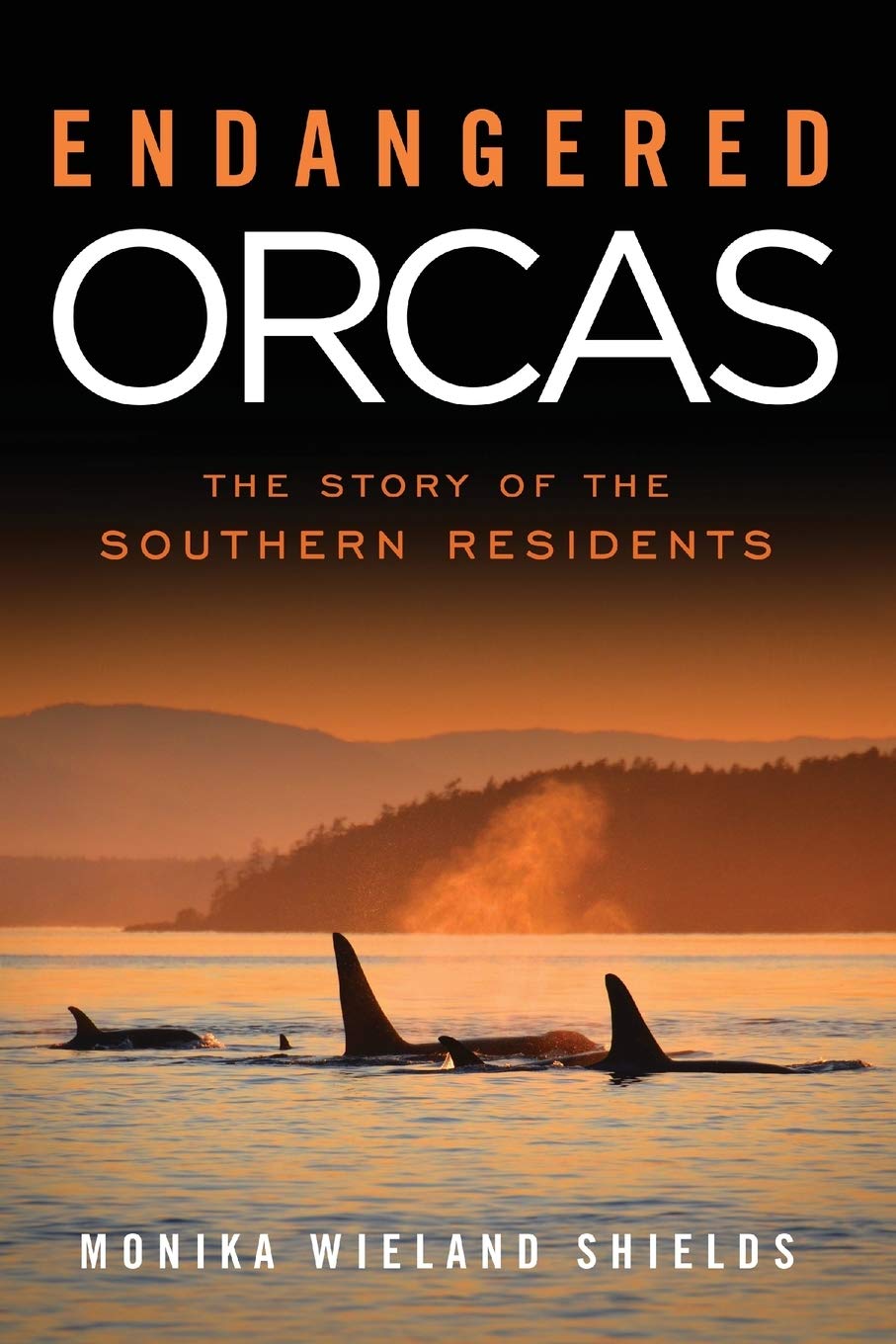 Endangered Orcas: The Story of the Southern Residents baixar o livro de graça