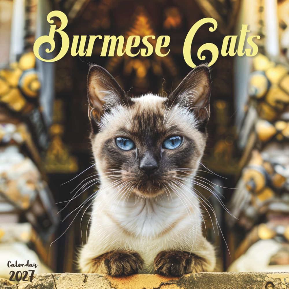 Burmese Cats 2027 Calendar: 12 Months of Silky Coats and Golden Eyes baixar livro de graça