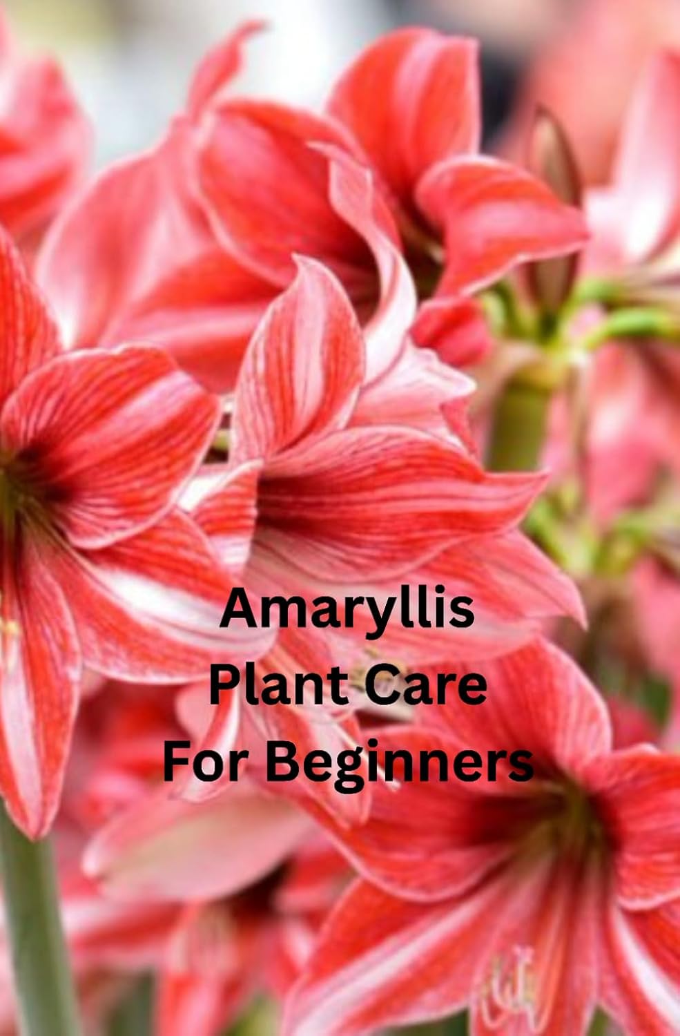 Amaryllis Plant Care For Beginners: An Easy, Friendly Guide to Growing Gorgeous Amaryllis Plants baixar livro de graça