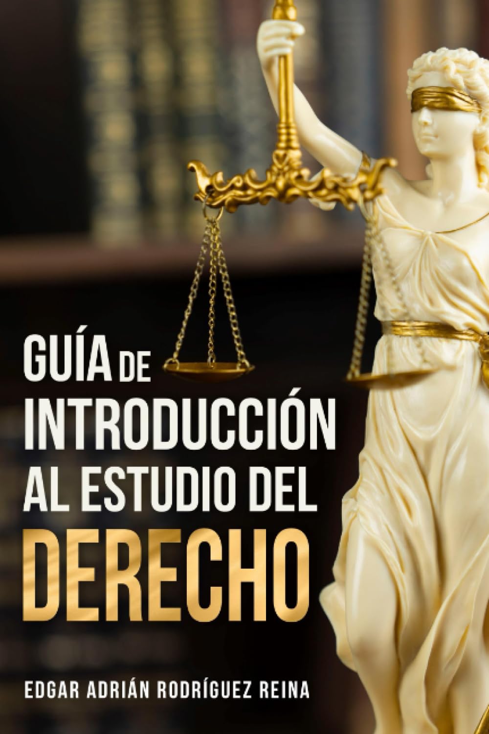 ler totalmente Guía de Introducción al Estudio del Derecho (Spanish Edition)