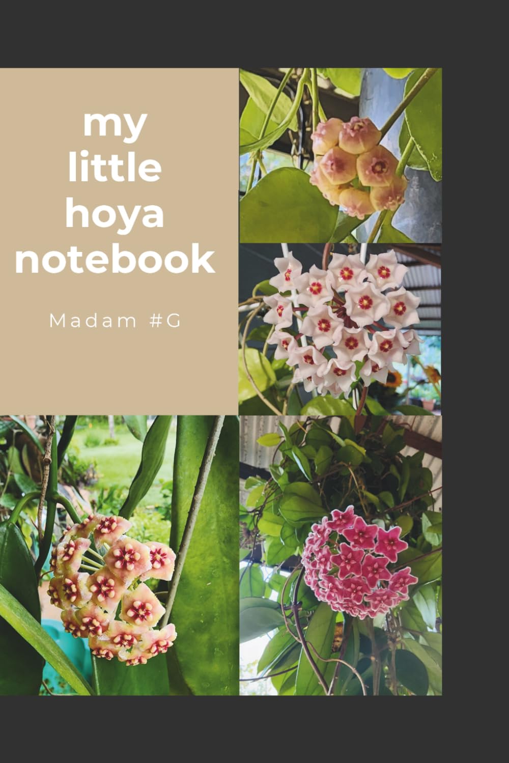 My Little Hoya Notebook baixar livro de graça