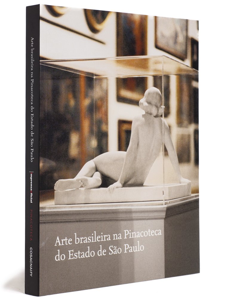 Arte Brasileira na Pinacoteca do Estado de SP baixar o livro de graça