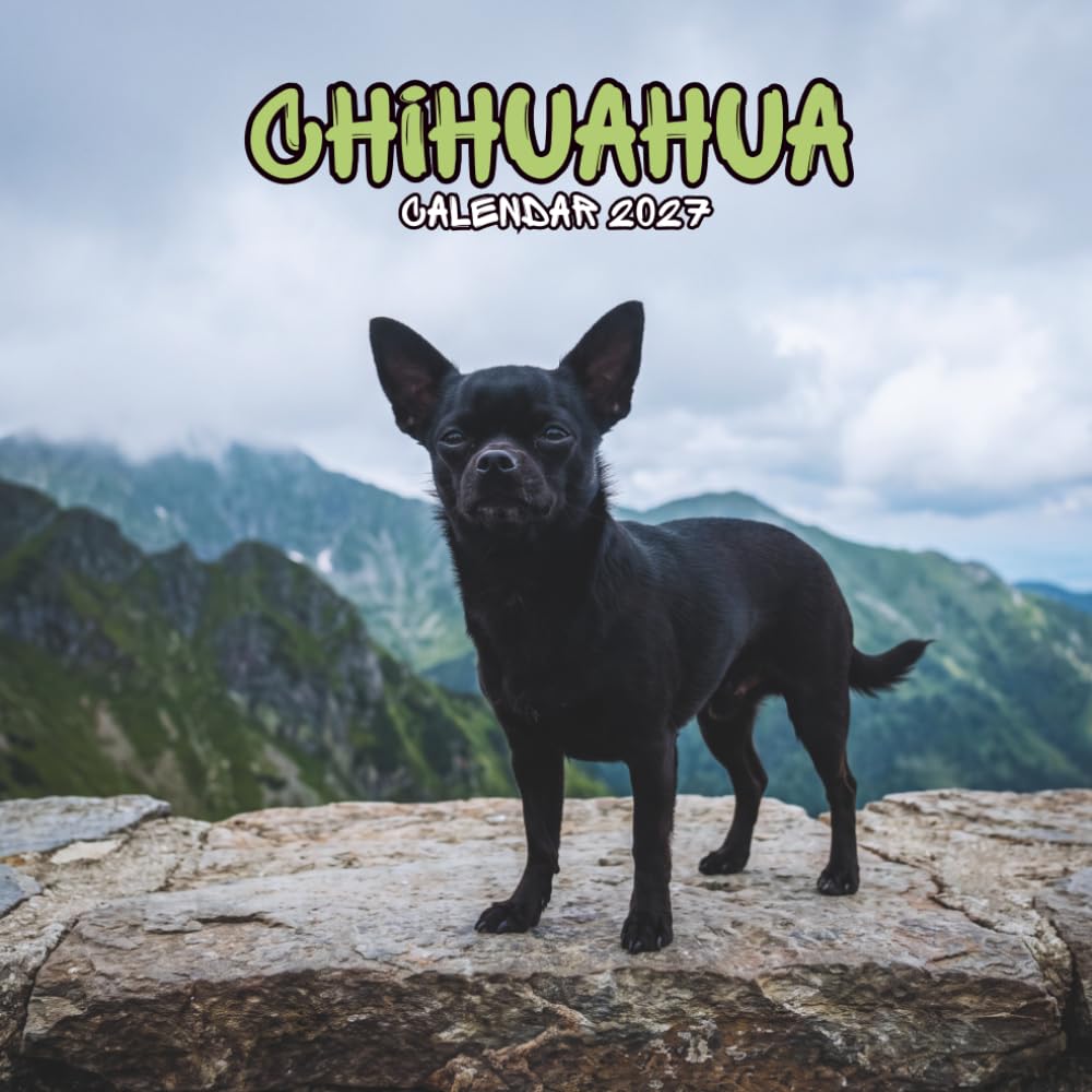 ler totalmente Chihuahua 2027 Calendar: Tiny Dogs, Bold Personalities and a Year of Cheerful Companion Moments | Square 8.5 x 8.5 Inches