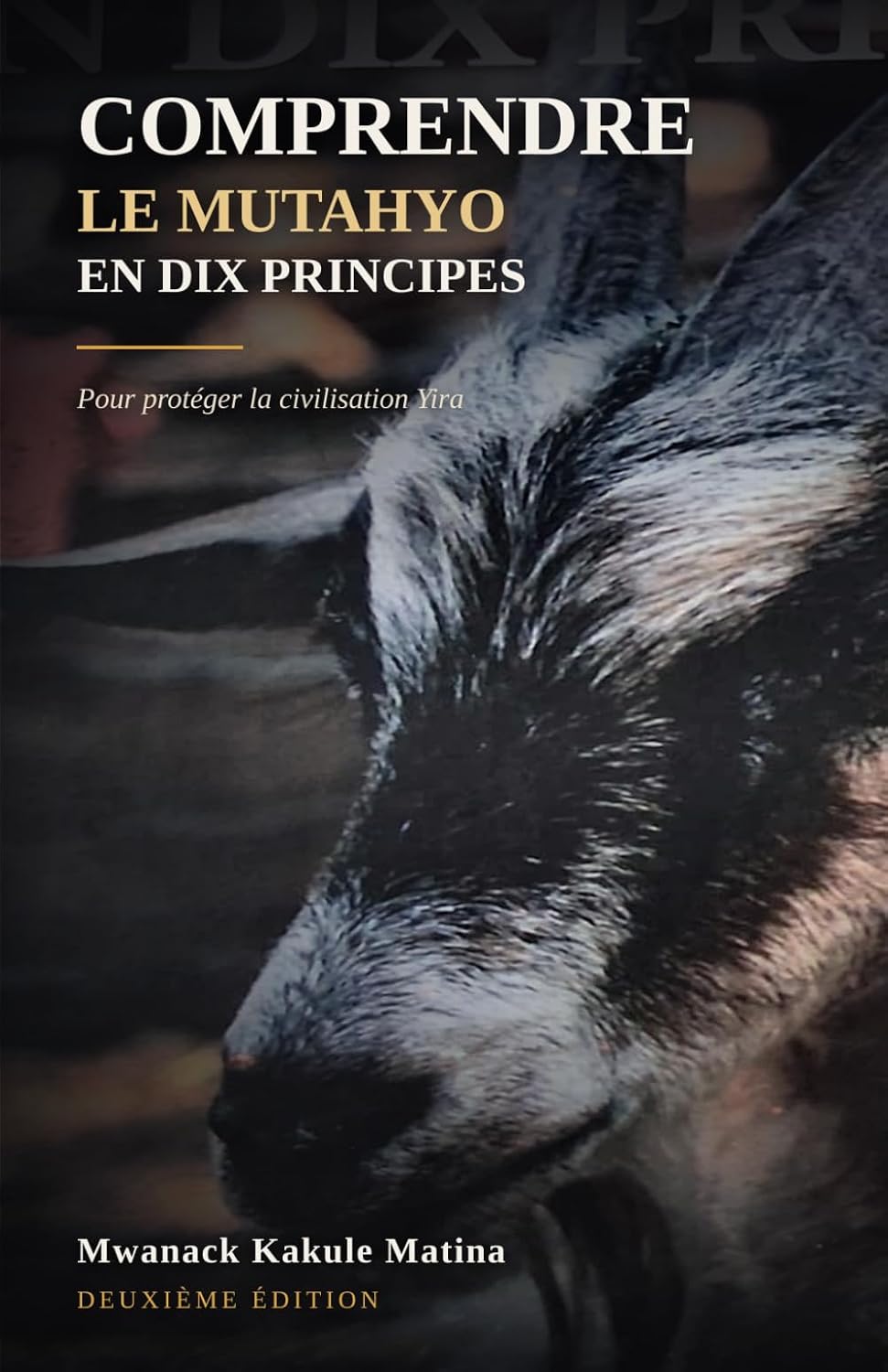 Comprendre le mutahyo en dix principes: Pour protéger la civilisation Yira (French Edition) baixar o livro de graça