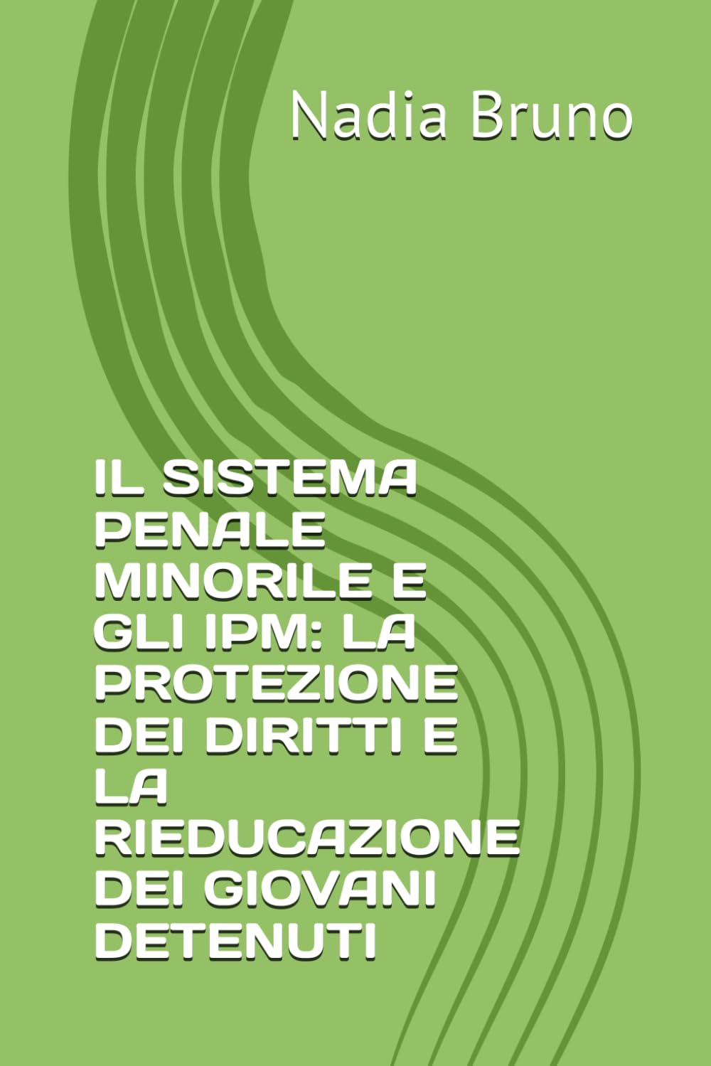 IL SISTEMA PENALE MINORILE E GLI IPM: LA PROTEZIONE DEI DIRITTI E LA RIEDUCAZIONE DEI GIOVANI DETENUTI (Italian Edition) baixar livro de graça