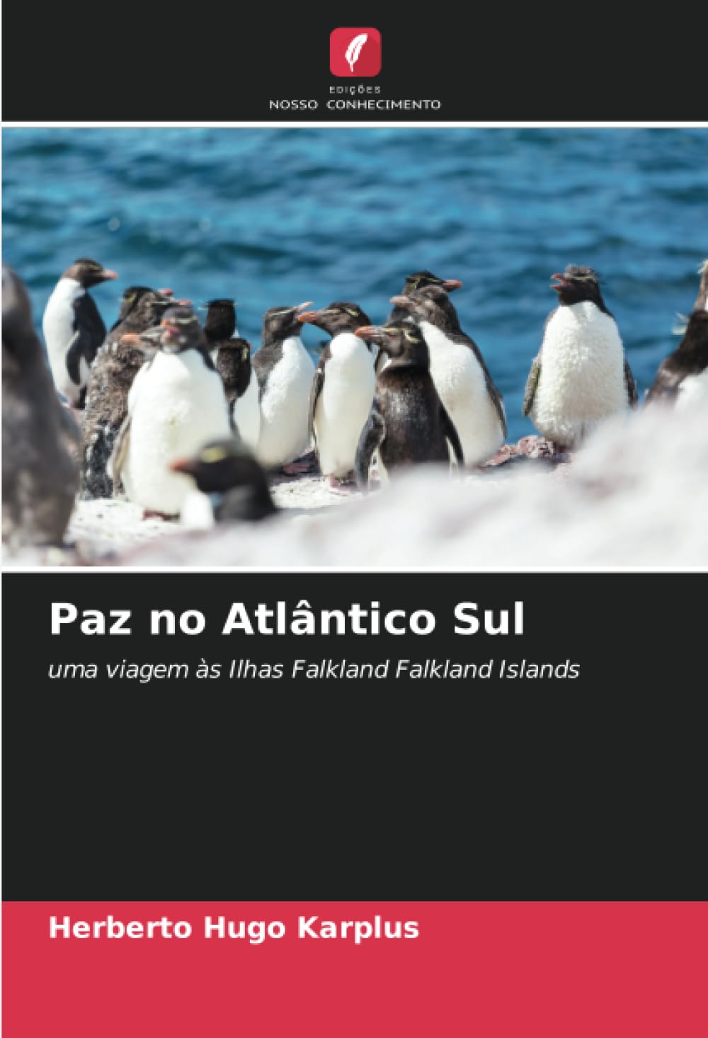 ler totalmente Paz no Atlântico Sul: uma viagem às Ilhas Falkland Falkland Islands (Portuguese Edition)