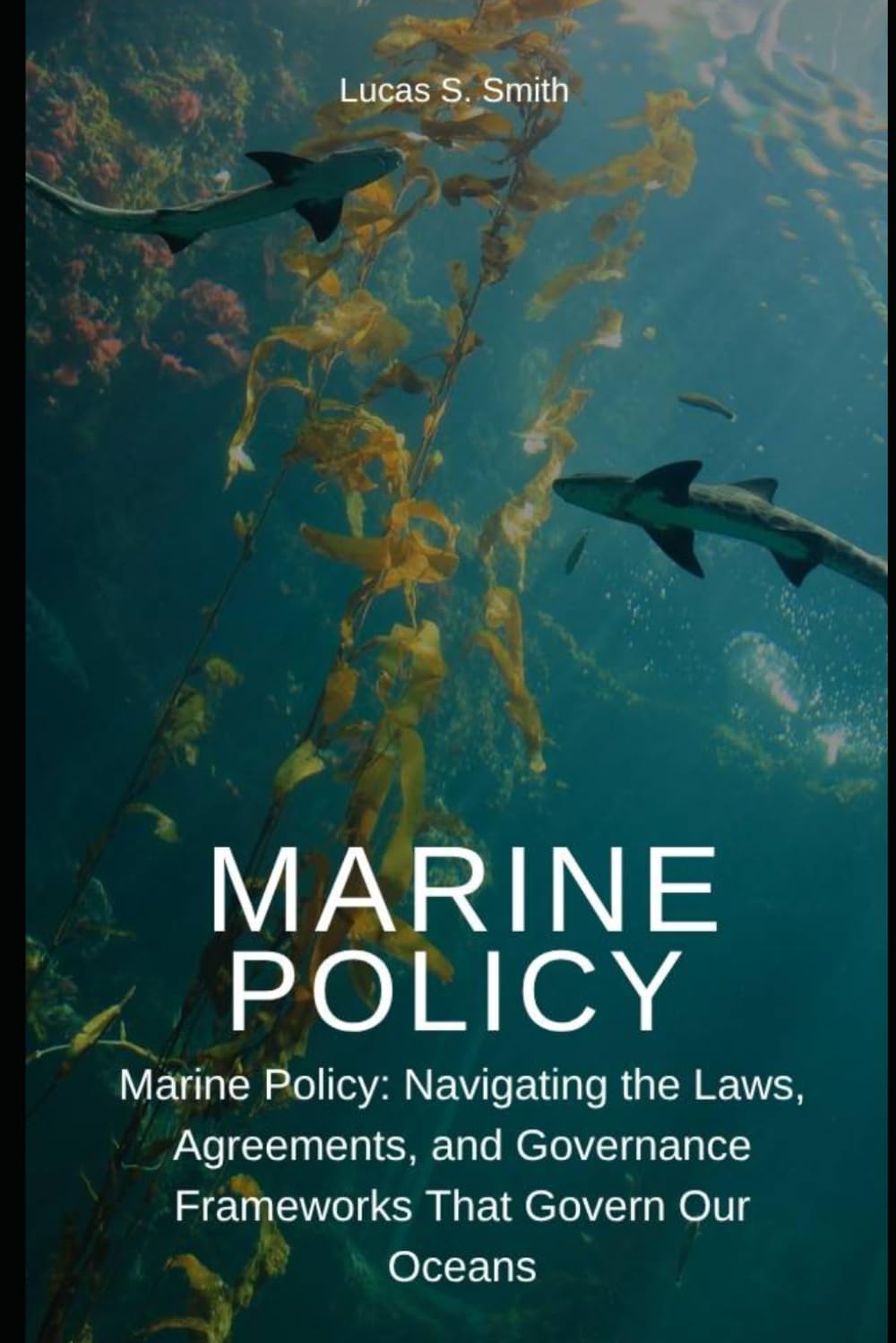 Marine Policy: Navigating the Laws, Agreements, and Governance Frameworks That Govern Our Oceans baixar livro de graça
