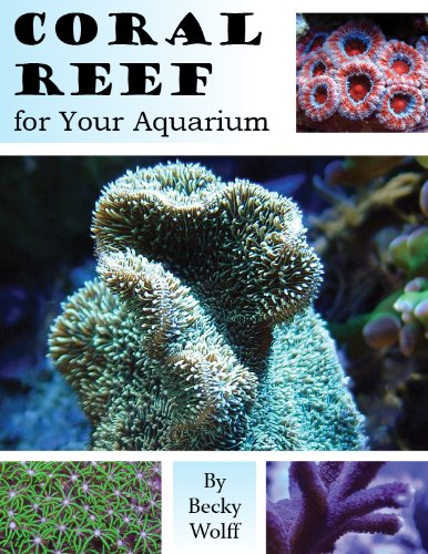 Coral Reef for Your Aquarium (English Edition) baixar livro de graça