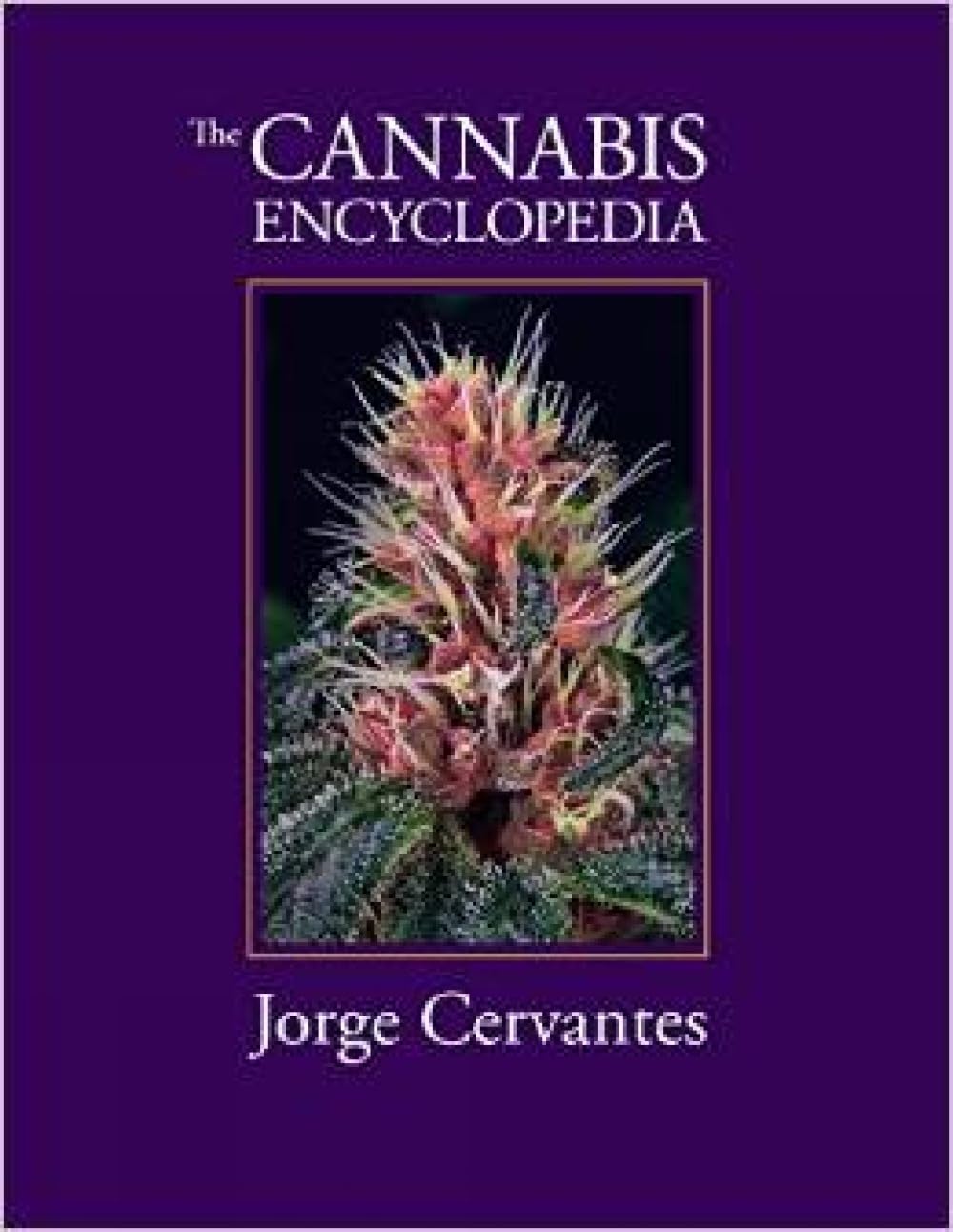 The Cannabis Encyclopedia: The Definitive Guide to Cultivation & Consumption of Medical Marijuana baixar livro de graça