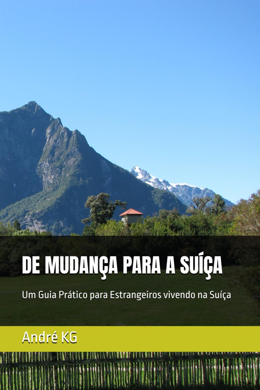 DE MUDANÇA PARA A SUÍÇA: Um Guia Prático para Estrangeiros vivendo na Suíça (Portuguese Edition) baixar livro de graça