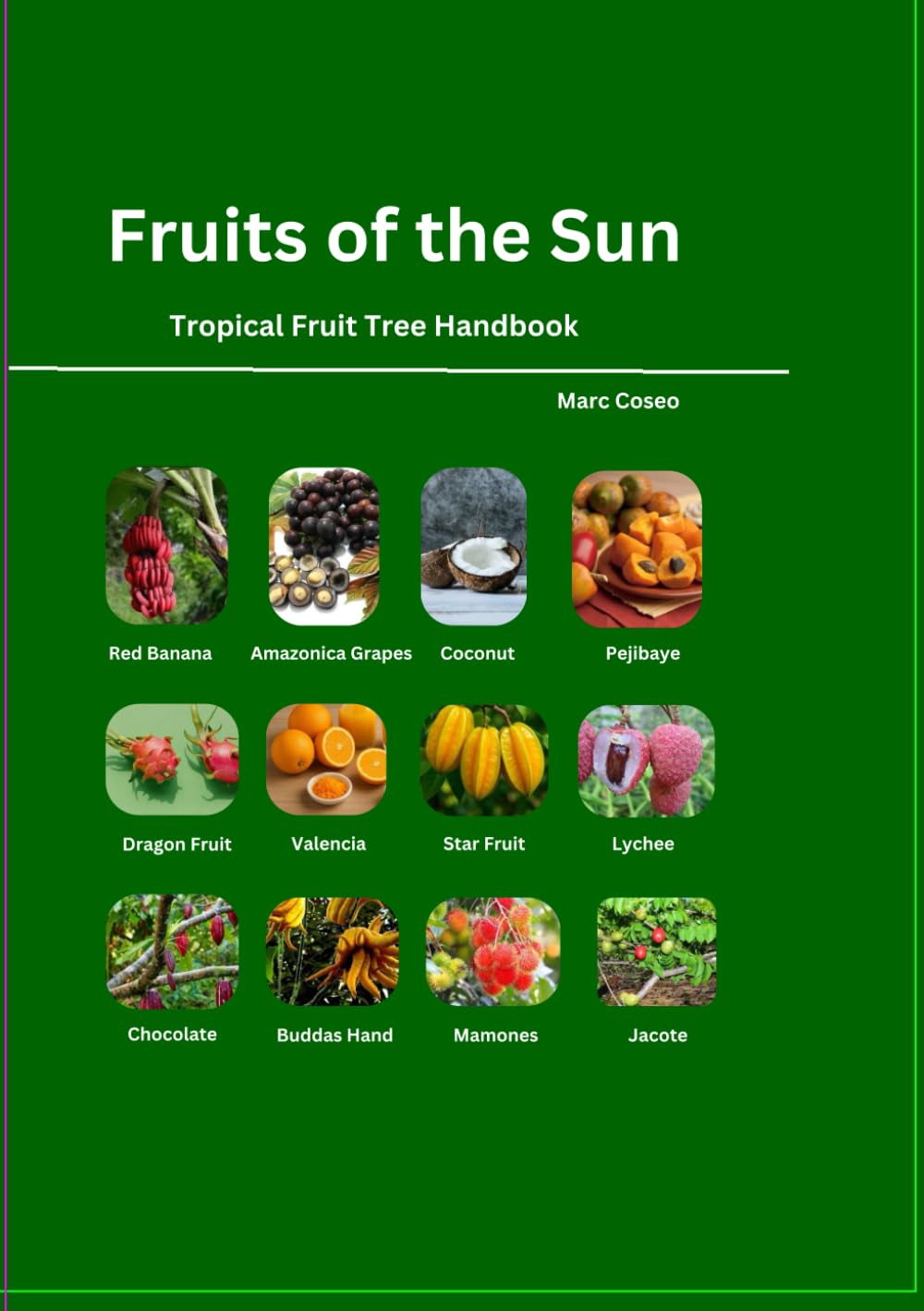 Fruits of the Sun: Tropical Fruit Tree Handbook baixar livro de graça