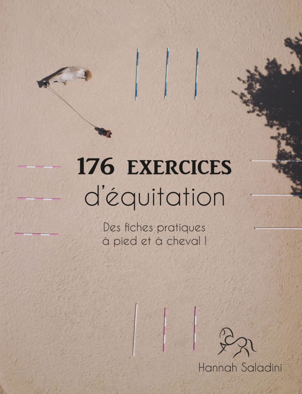 176 EXERCICES d'équitation: Des fiches pratiques à pied et à cheval ! (French Edition) baixar o livro de graça