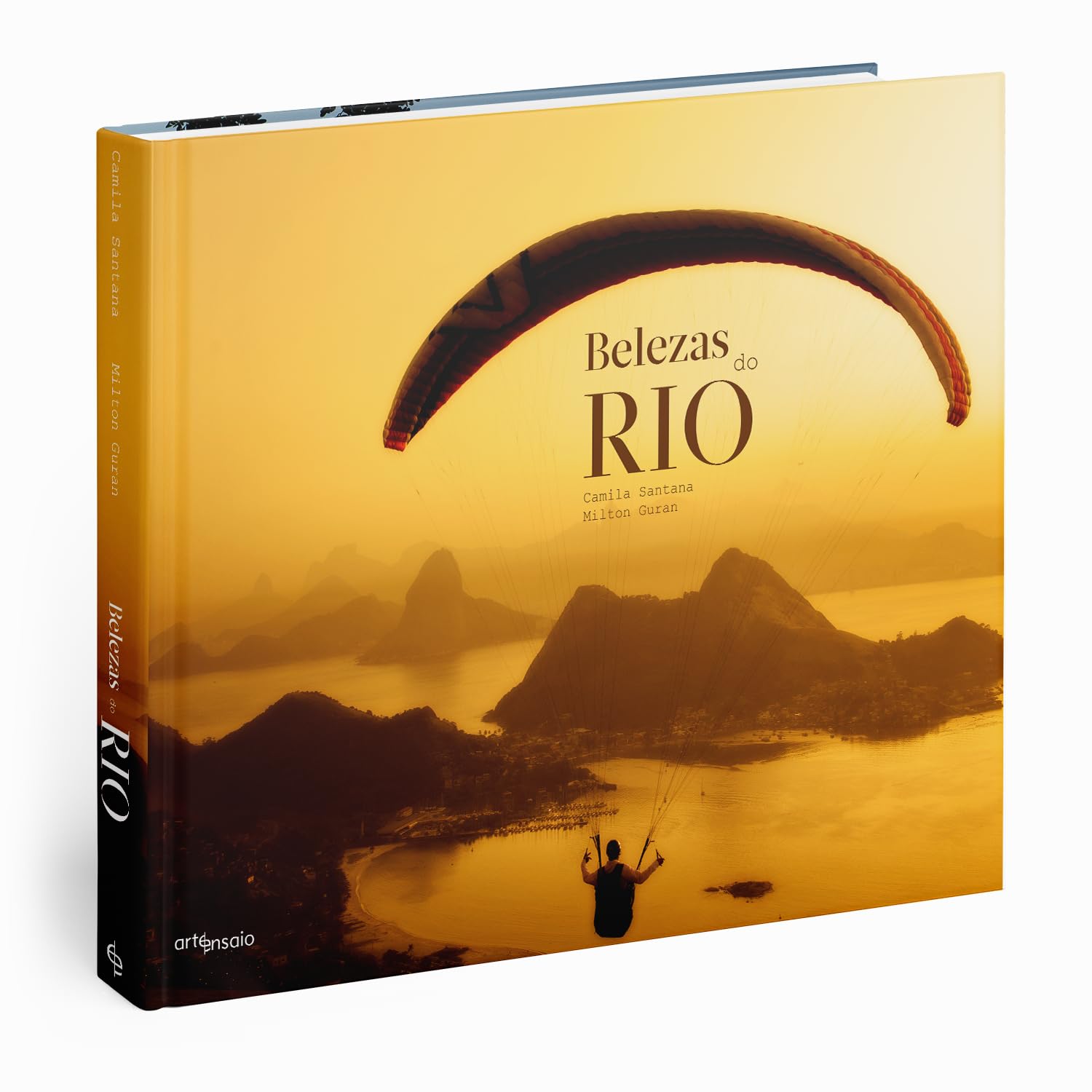 Belezas do Rio baixar livro de graça