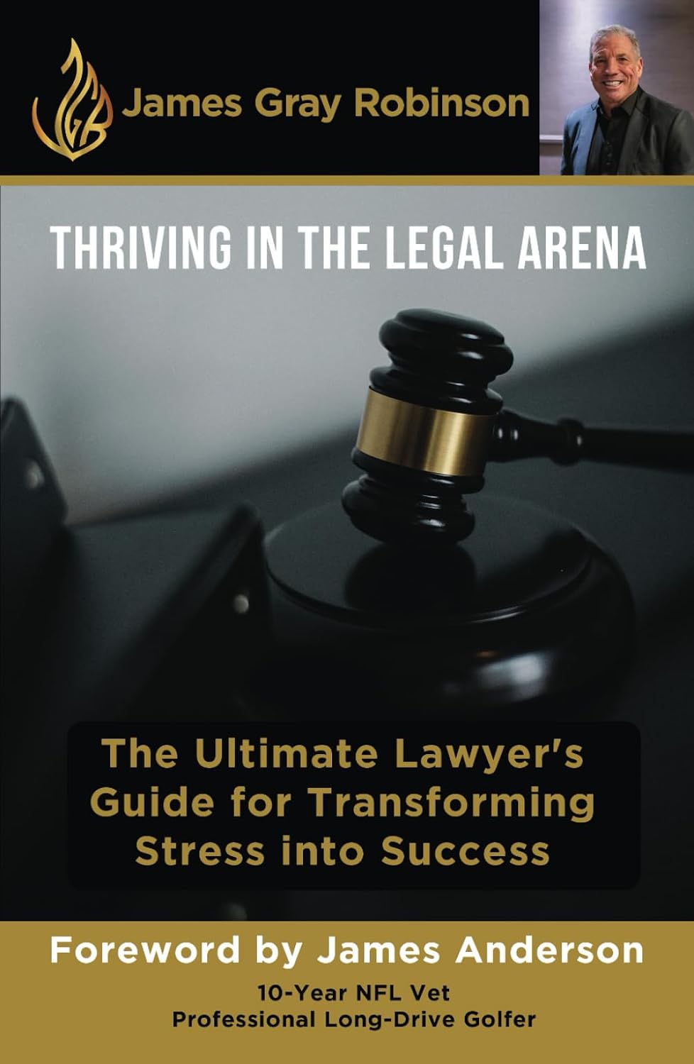 Thriving in the Legal Arena: The Ultimate Lawyer's Guide for Transforming Stress into Success baixar o livro de graça