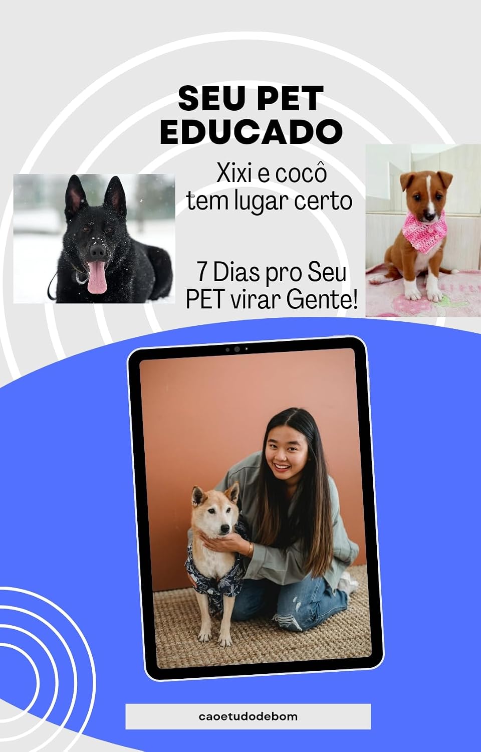 7 Dias Para Seu PET Virar Gente!: Guia rápido do adestramento sanitário inteligente baixar livro de graça