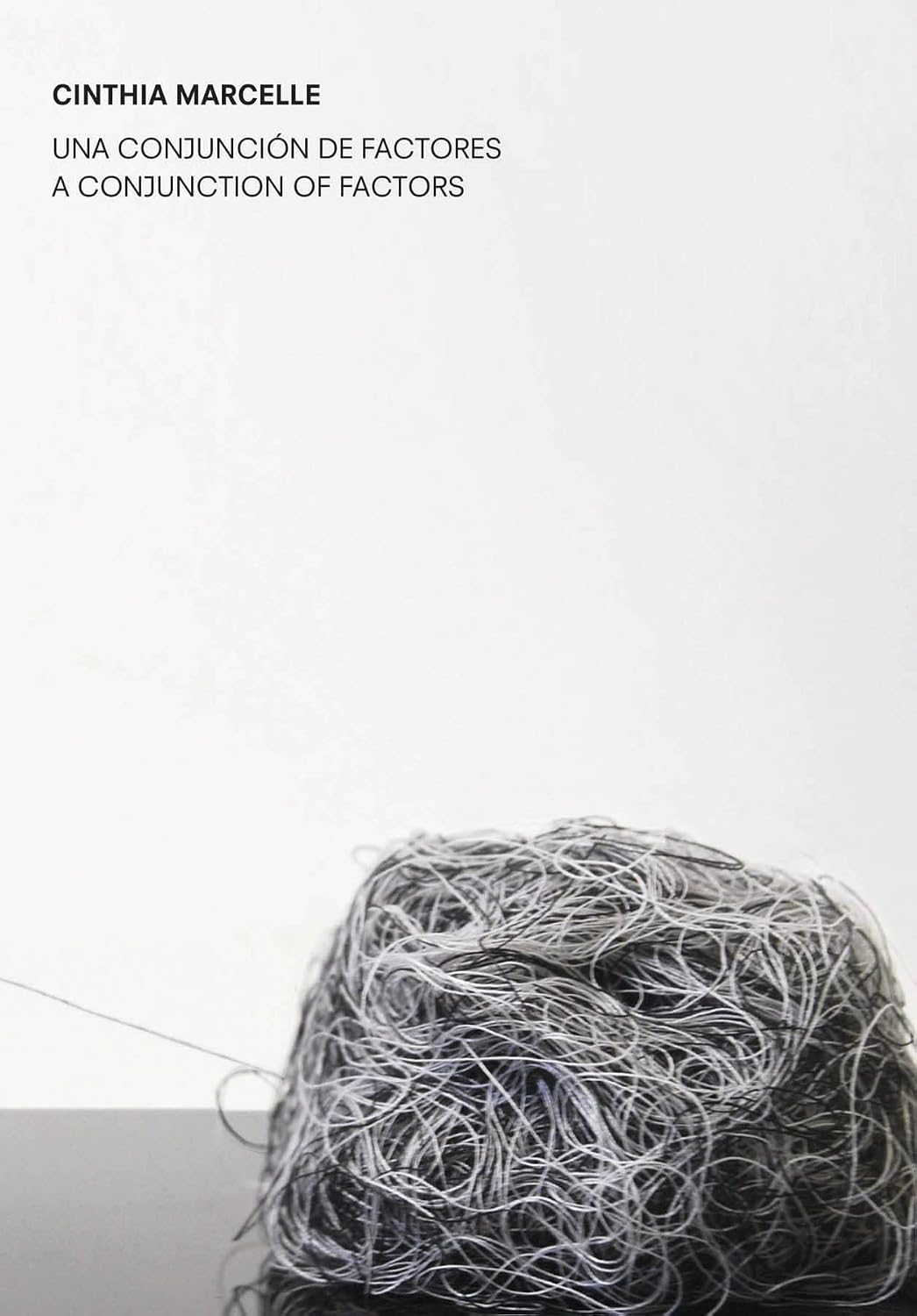 Cinthia Marcelle: A Conjunction of Factors