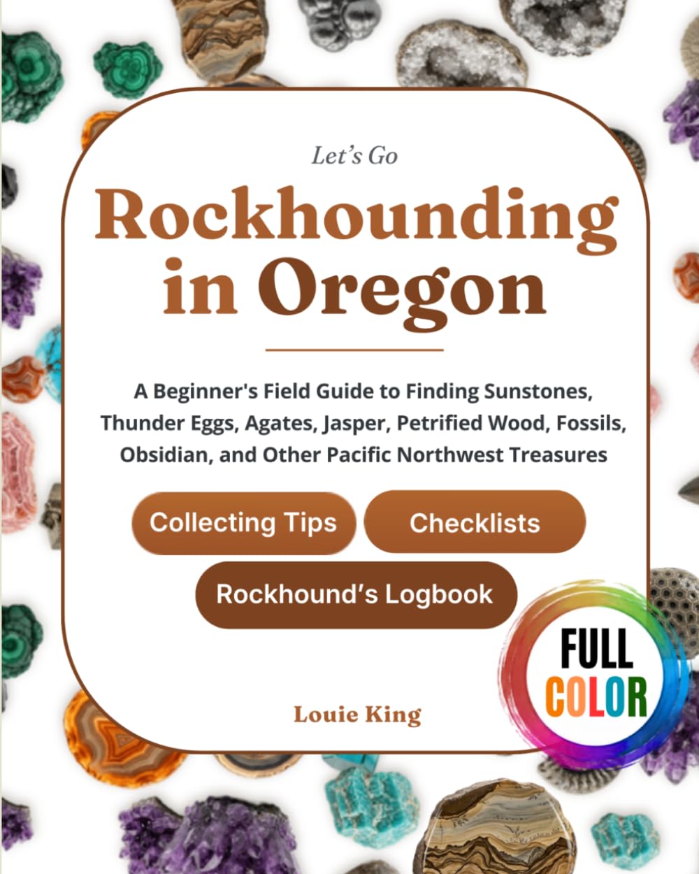 Let's Go Rockhounding in Oregon: A Beginner's Field Guide to Finding Sunstones, Thunder Eggs, Agates, Jasper, Petrified Wood, Fossils, Obsidian, and... Tips, Checklists, and a Rockhound's Logbook baixar o livro de graça