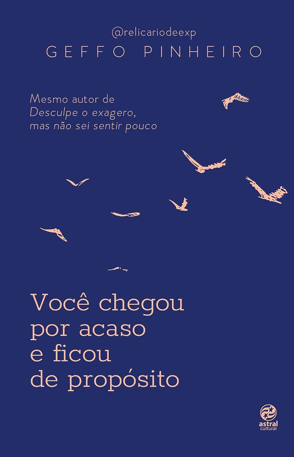 capítulo por capítulo baixar Você chegou por acaso e ficou de propósito