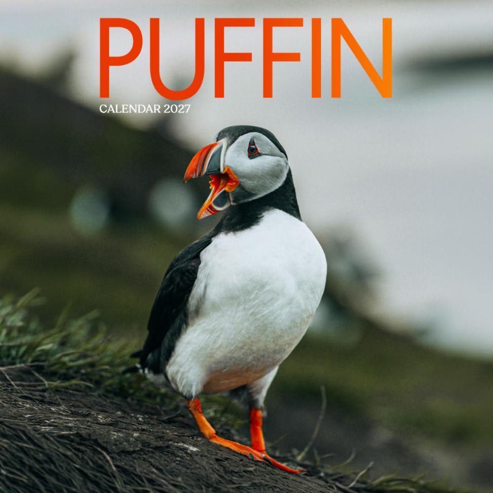 Puffin Calendar 2027: Coastal Birds and Ocean Scenes baixar livro de graça