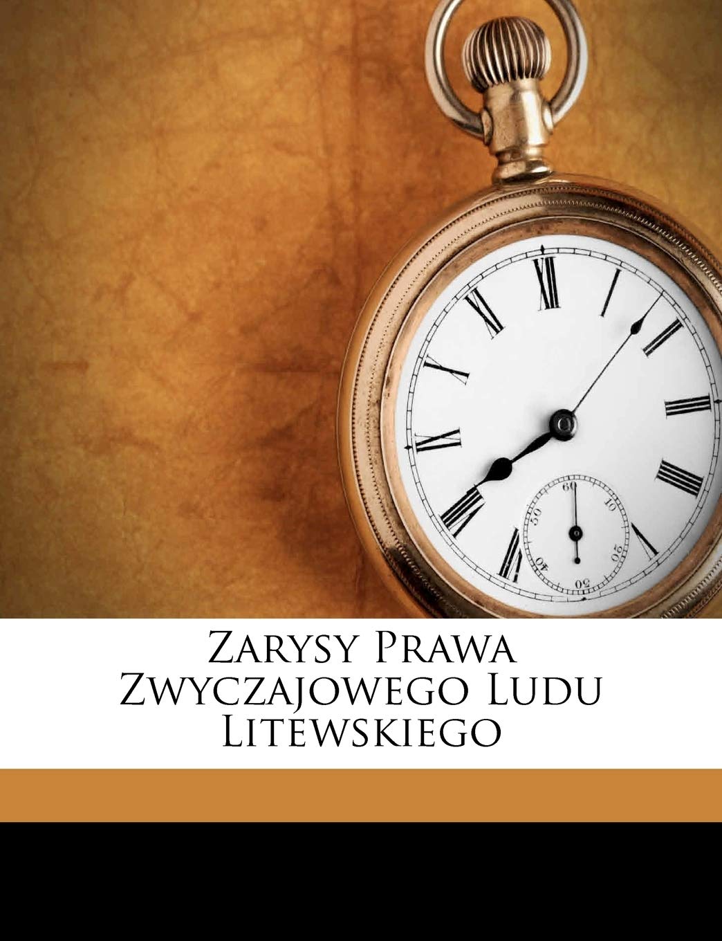 Zarysy Prawa Zwyczajowego Ludu Litewskiego baixar livro de graça