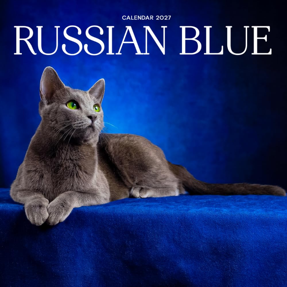 Russian Blue Calendar 2027: Cat Portraits and Breed Scenes baixar livro de graça