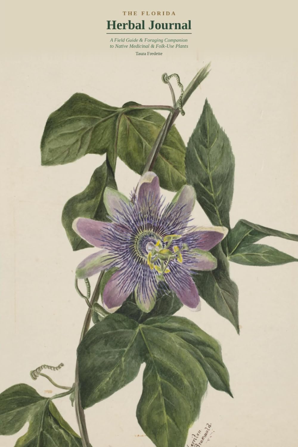 The Florida Herbal Journal baixar o livro de graça