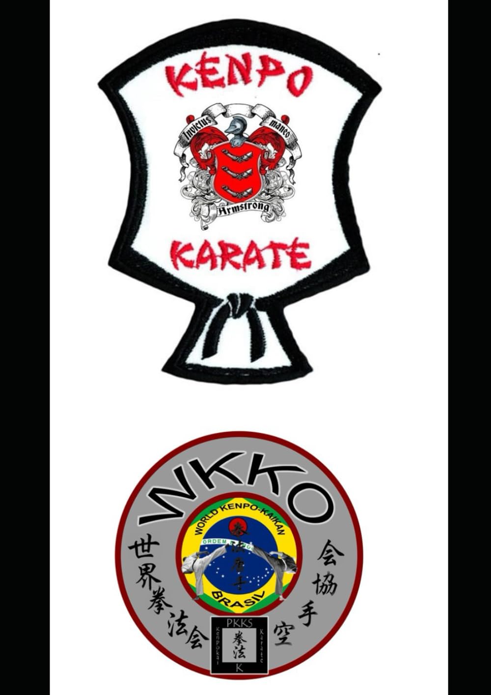 Caminho do Guerreiro: A Jornada Épica do Karatê Moderno: Dragon Kenpo 2.0 baixar livro de graça