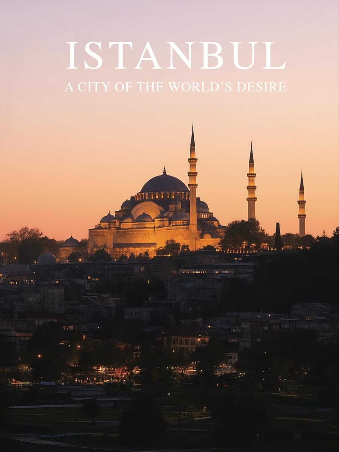 ler totalmente Istanbul a City of The World's Desire: a Photo Travel Experience (English Edition)